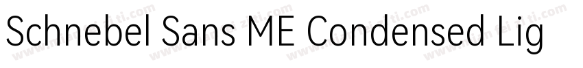Schnebel Sans ME Condensed Light字体转换